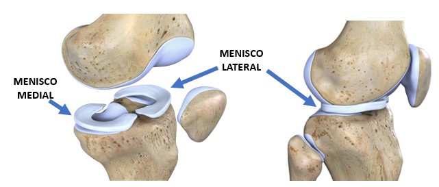 Cirurgião Especialista em Menisco